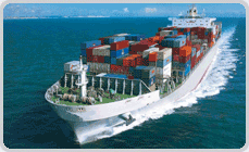 Transport maritim containerizat